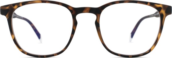 Barner Screen Dalston Tortoise