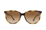 Ray-Ban RB4378 710/13 54 18804